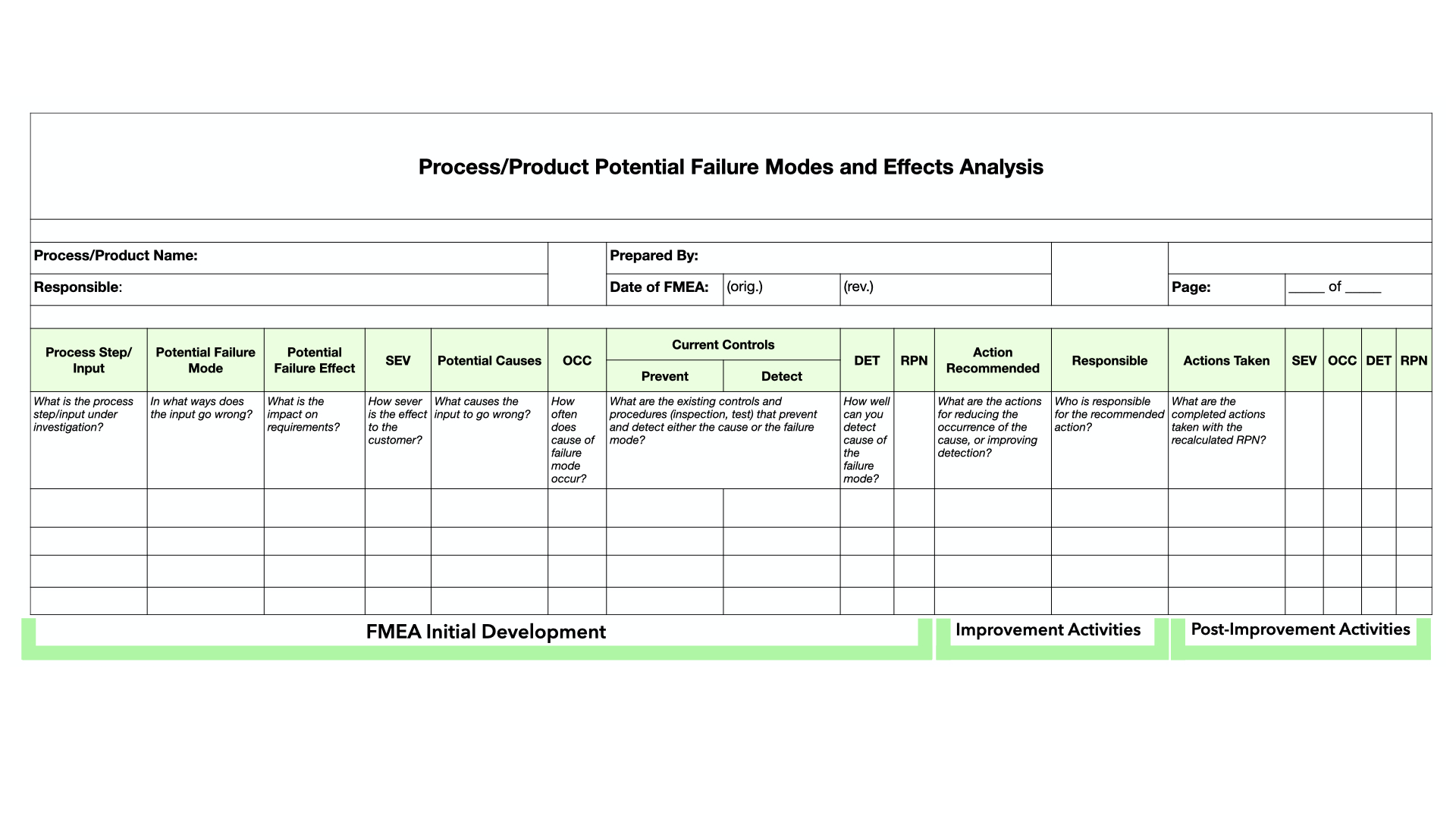 Figure 4 - FMEA form